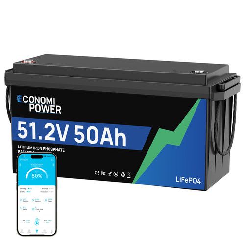 48v 50ah lifepo4 - 50ah,