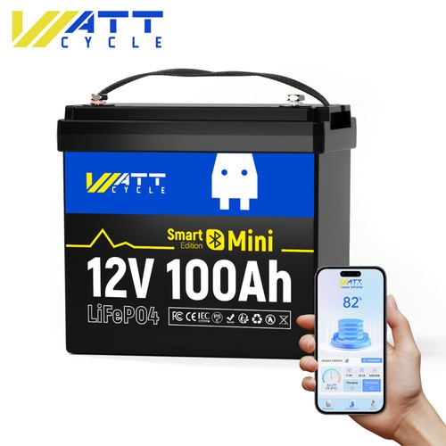 12v 100ah lifepo4 - 100ah,