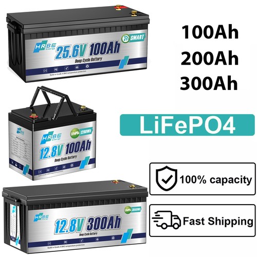 Lithium batterie 300ah 12v - batterie,